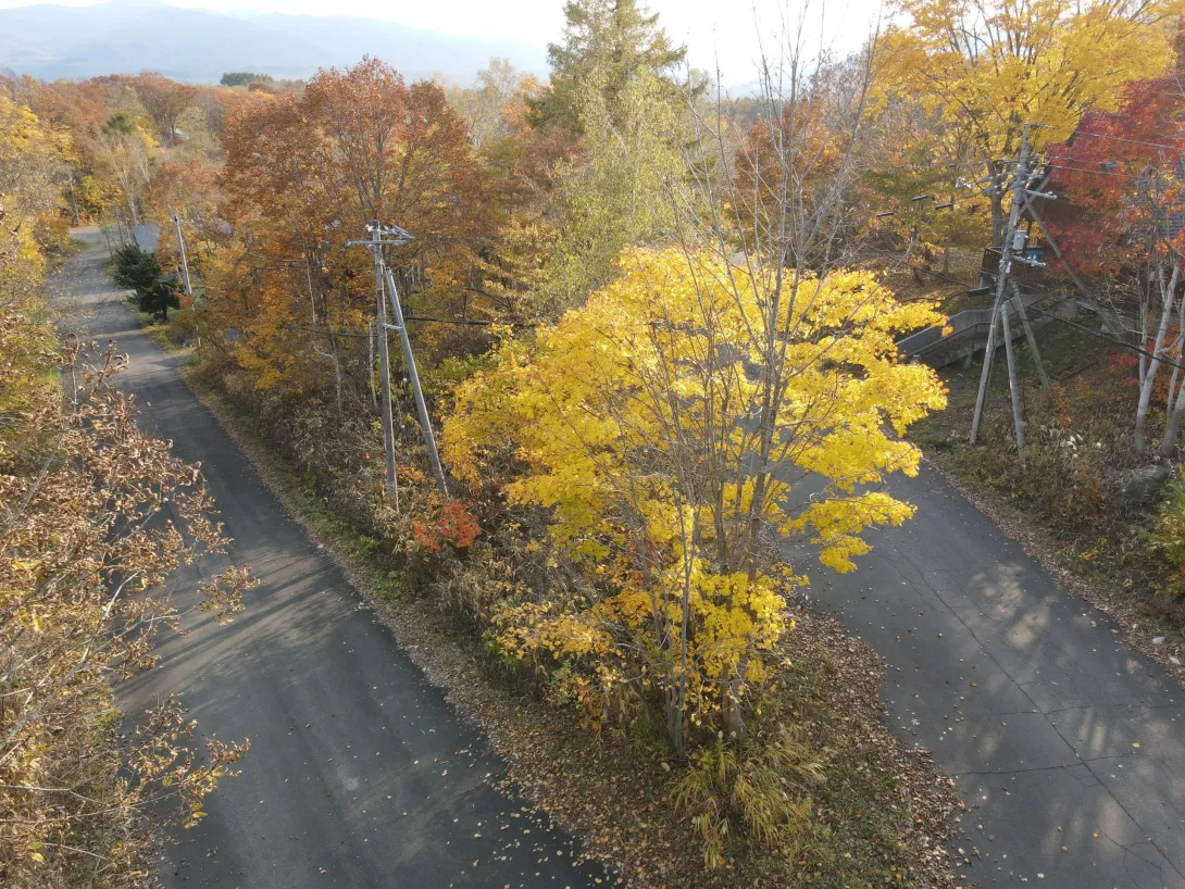 394819998_994264675097561_7157847216092598562_n